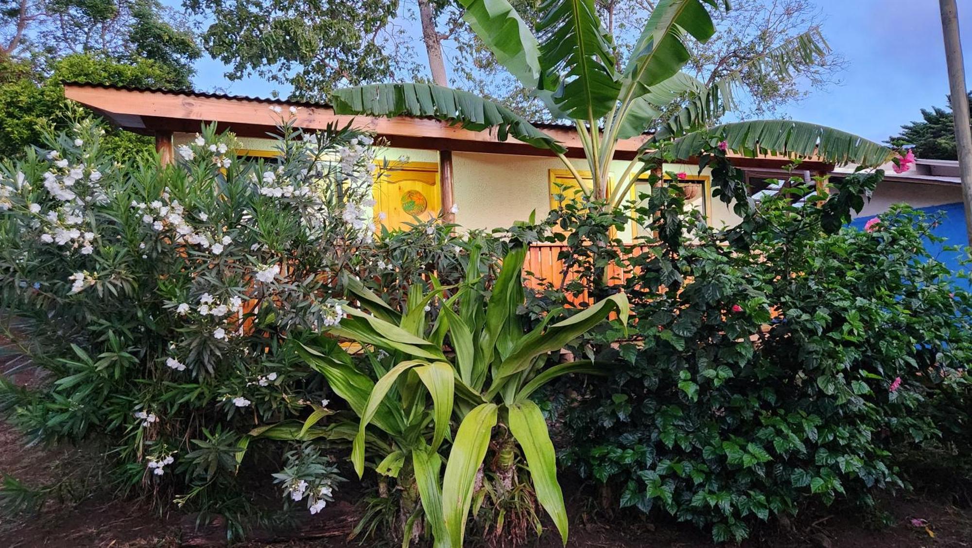 Hare O Haupiano Apartamento Hanga Roa Exterior foto